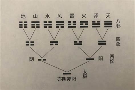 动爻怎么看|周易六爻知识：动爻与变爻的关系